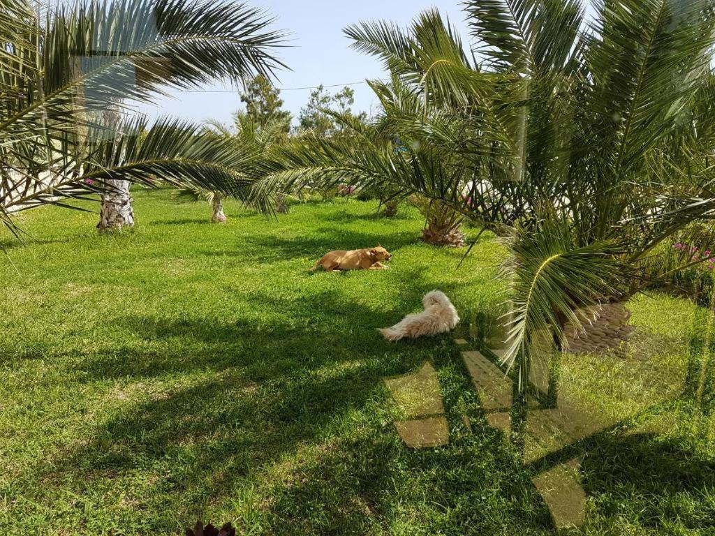 Les Jardins De Mogador Yoga Et Spa Εσαουίρα Εξωτερικό φωτογραφία