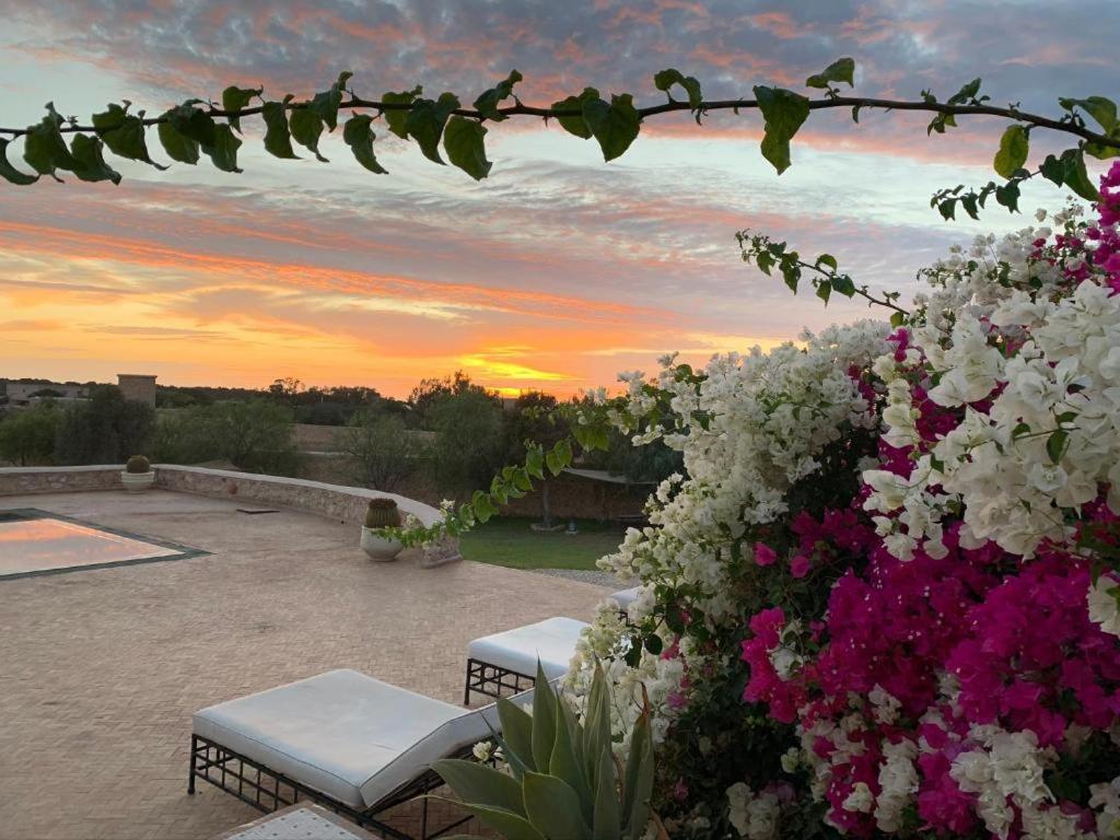 Les Jardins De Mogador Yoga Et Spa Εσαουίρα Εξωτερικό φωτογραφία