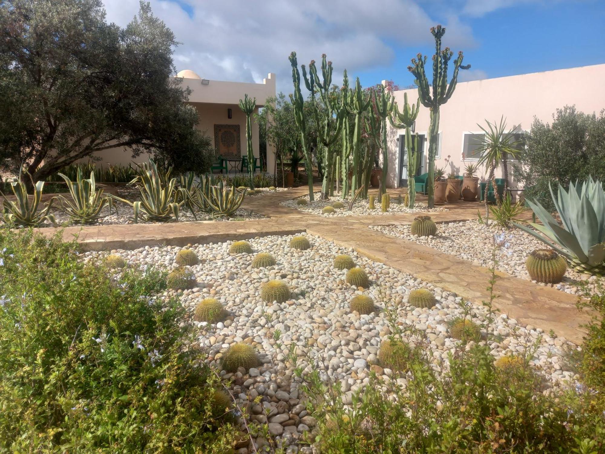 Les Jardins De Mogador Yoga Et Spa Εσαουίρα Εξωτερικό φωτογραφία